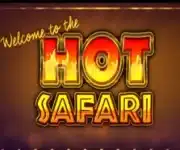 Hot Safari