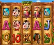 Barnyard Bonanza
