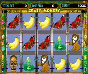 crazy monkey