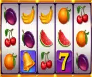 the fruit machine