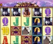 wolf run