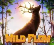 Wild Flow
