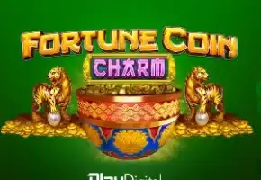 Fortune Coin Charm