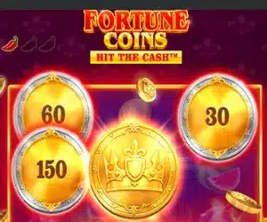 Fortune Coins