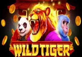 Wild Tiger