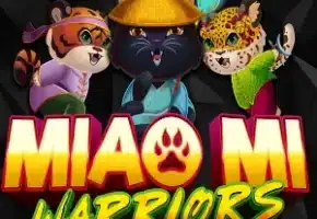 Miao Mi Warriors de Ainsworth