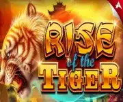 Rise of the Tiger de Ainsworth