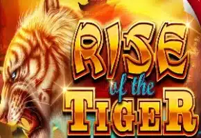 Rise of the Tiger de Ainsworth
