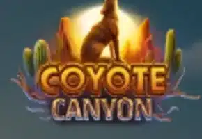 Coyote Canyon