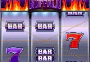Fire Buffalo