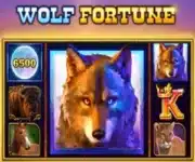 Wolf Fortune