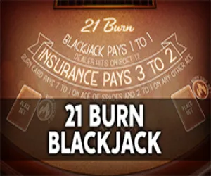 21 Burn Blackjack