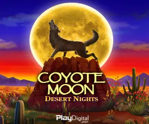 Coyote Moon Desert Nights